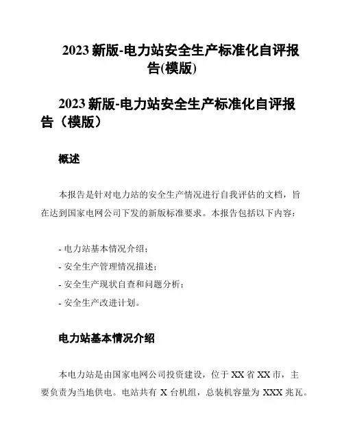 2023新版-电力站安全生产标准化自评报告(模版)