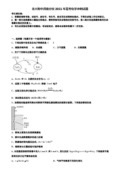 《编选17套合集》北大附中河南分校2021年高考化学冲刺试题含解析