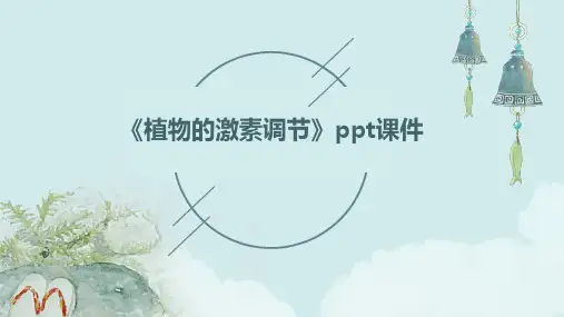 《植物的激素调节》课件