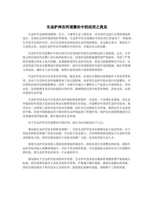 生态护岸在河道整治中的应用之我见