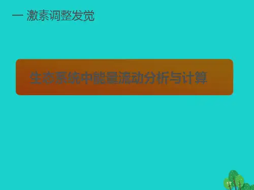 高三生物生态系统中能量流动的分析与计算复习全国公开课一等奖百校联赛微课赛课特等奖PPT课件