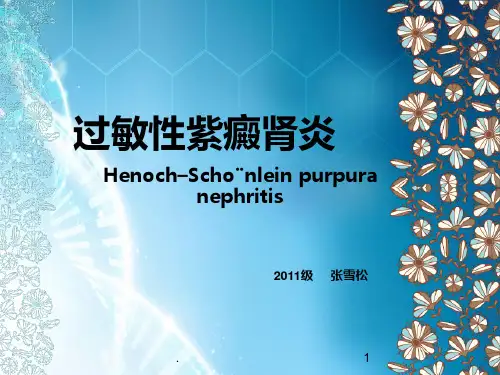 读书报告-过敏性紫癜肾炎ppt课件