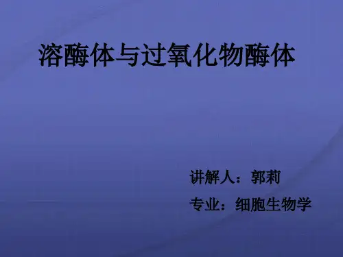 溶酶体与过氧化物酶体