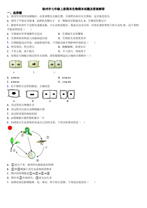 徐州市七年级上册期末生物期末试题及答案解答