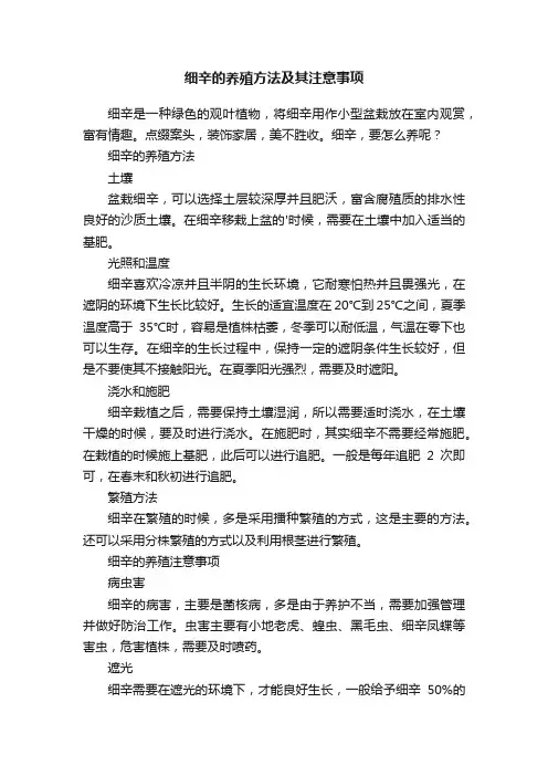 细辛的养殖方法及其注意事项