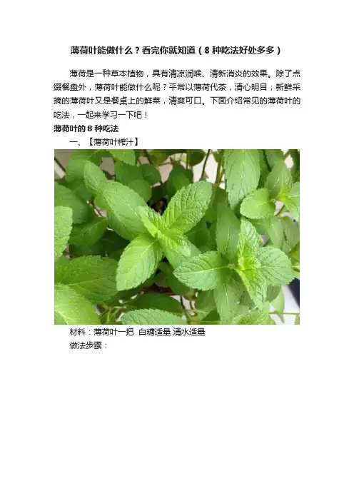 薄荷叶能做什么？看完你就知道（8种吃法好处多多）