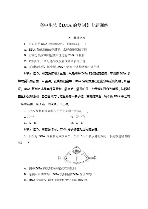高中生物【DNA的复制】专题训练