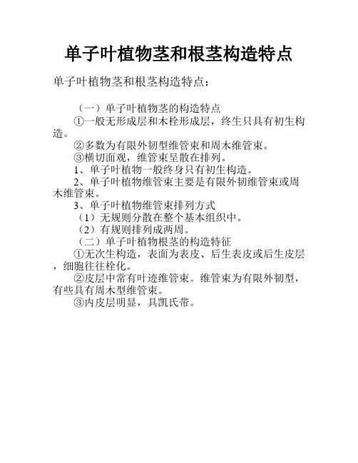 单子叶植物茎和根茎构造特点