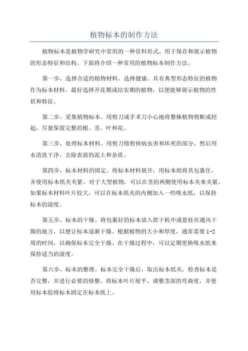 植物标本的制作方法