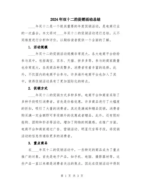 2024年双十二的促销活动总结