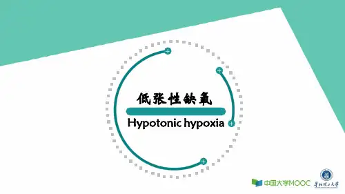缺氧低张性缺氧 02