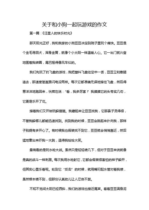 关于和小狗一起玩游戏的作文