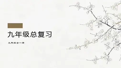 初中英语语法专项复习九年级全册总复习