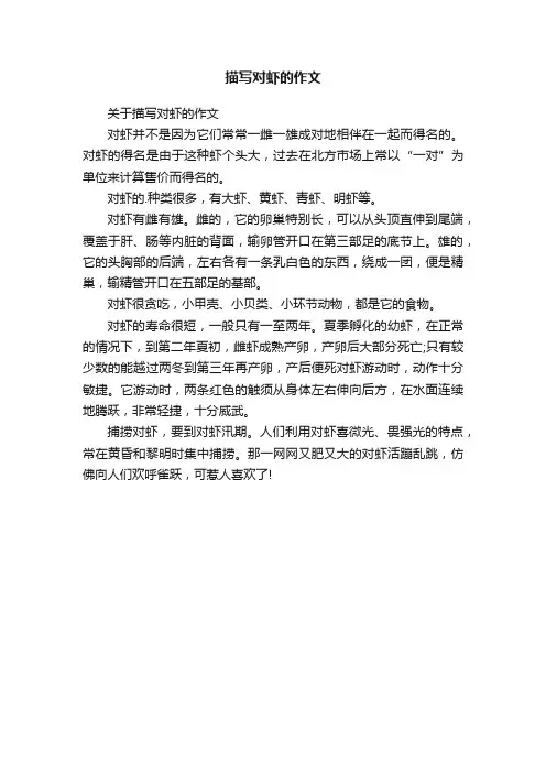 描写对虾的作文