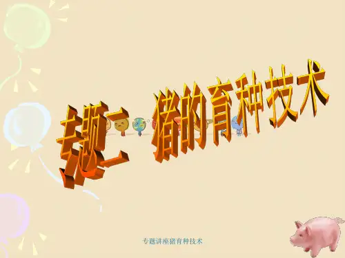 专题讲座猪育种技术