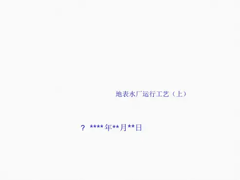 地表水厂处理工艺