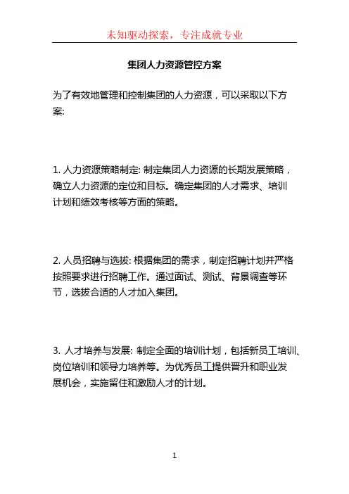 集团人力资源管控方案 (2)