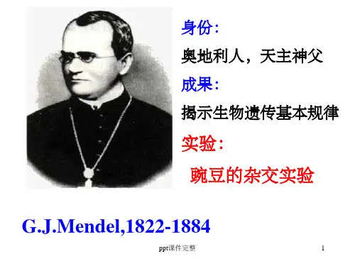 分离定律.1ppt课件