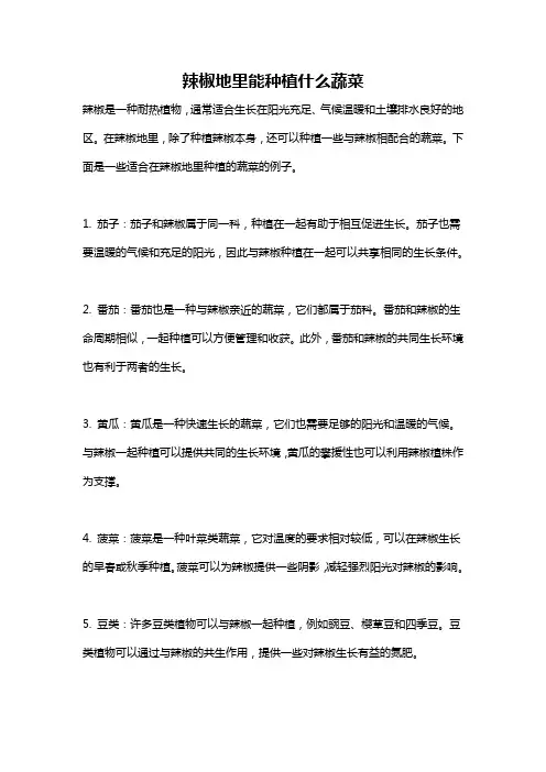 辣椒地里能种植什么蔬菜