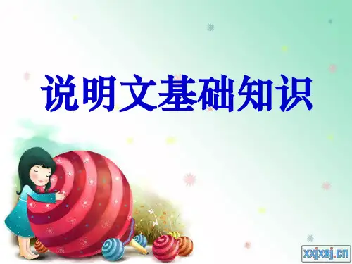 实用说明文基础知识ppt