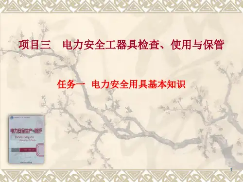 电力安全用具基本知识绝缘操作杆.ppt