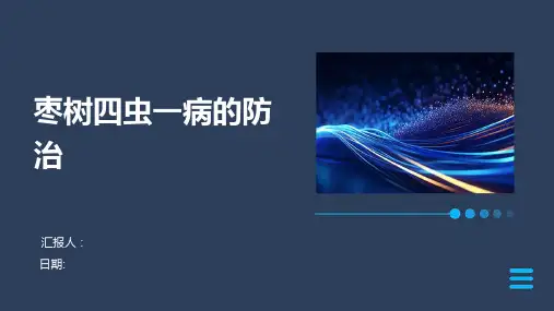 枣树四虫一病的防治