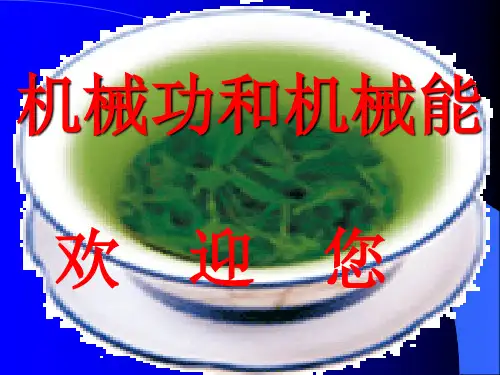 初中物理《机械功与机械能复习》(共28张)ppt