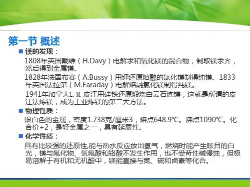 镁冶金学