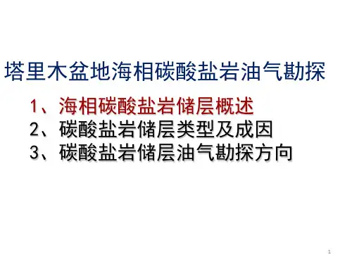 海相碳酸盐岩储层特征及油气勘探
