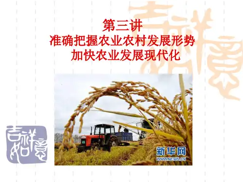 准确把握农业农村发展形势 加快农业发展现代化.ppt