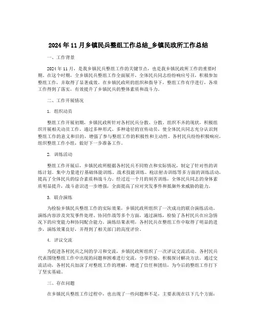 2024年11月乡镇民兵整组工作总结_乡镇民政所工作总结