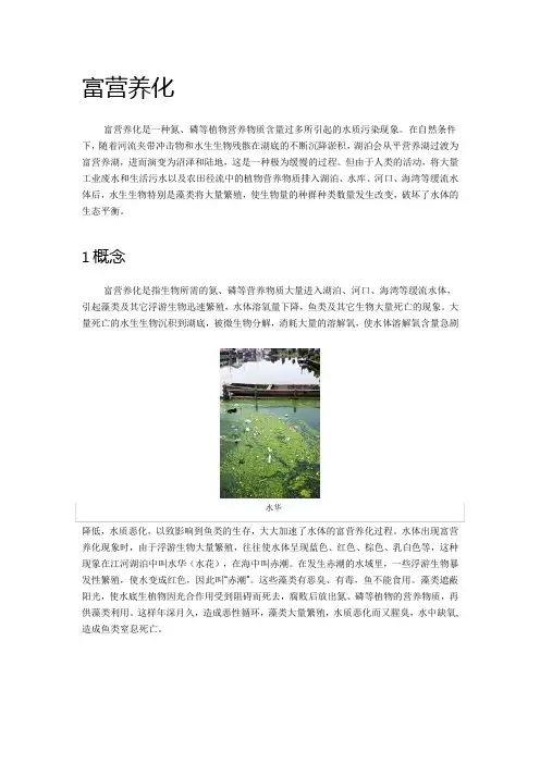 富营养化