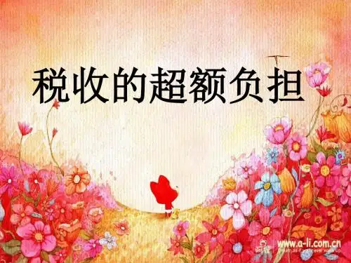 2019年-税收的超额负担-PPT精选文档
