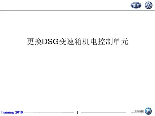 DSG专项培训2