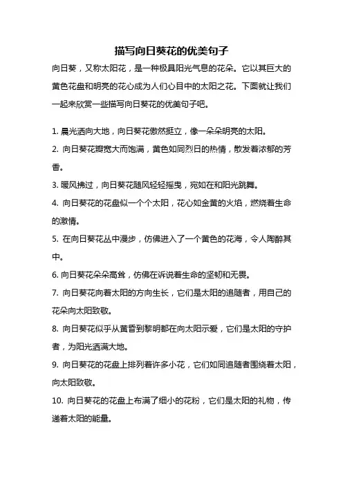 描写向日葵花的优美句子