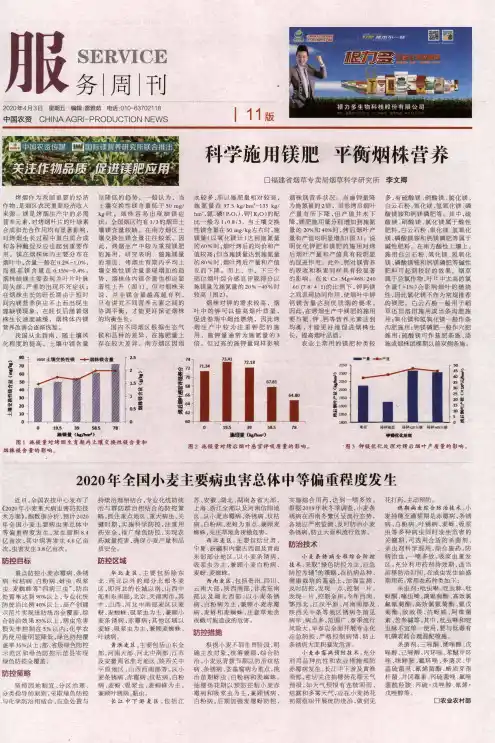 科学施用镁肥 平衡烟株营养