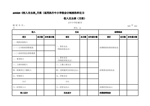 A06523《收入支出表_月报(适用执行中小学校会计制度的单位)》