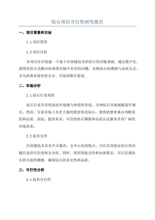 钻石项目可行性研究报告