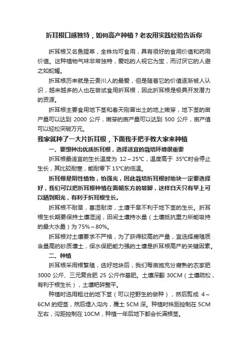 折耳根口感独特，如何高产种植？老农用实践经验告诉你