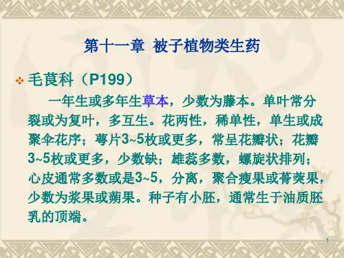 11-3被子植物类生药--毛茛科