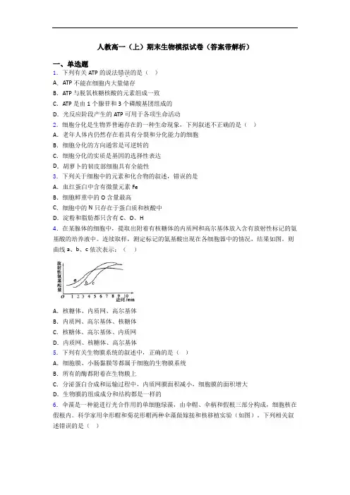 人教高一(上)期末生物模拟试卷(答案带解析)