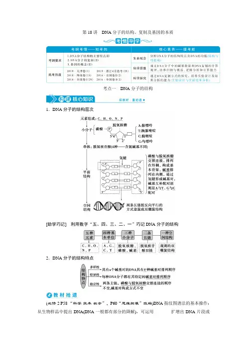 2021版高考生物(人教版)一轮复习学案：第六单元 第18讲 DNA分子的结构、复制及基因的本质 Word版含答案