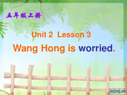 鲁科版五上英语Unit2 FeelingsLesson3Wang Hong is worried课件