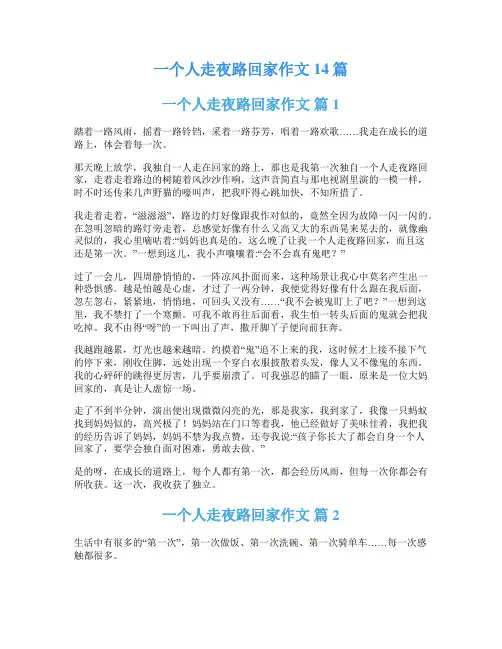 一个人走夜路回家作文14篇
