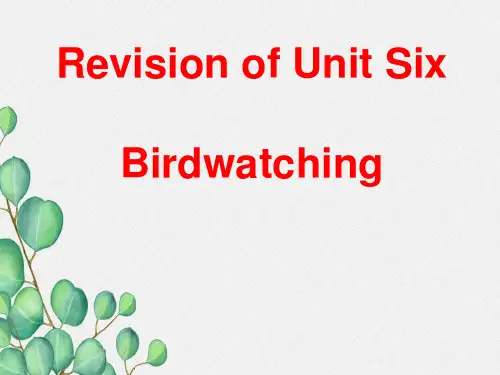 2022年八年级英语上册《Unit6 Bird watching Revision》课件(公开课)
