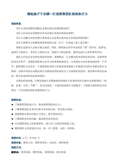 《撸起袖子干业绩——打造销售团队高效执行力》