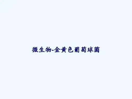 微生物-金黄色葡萄球菌 PPT