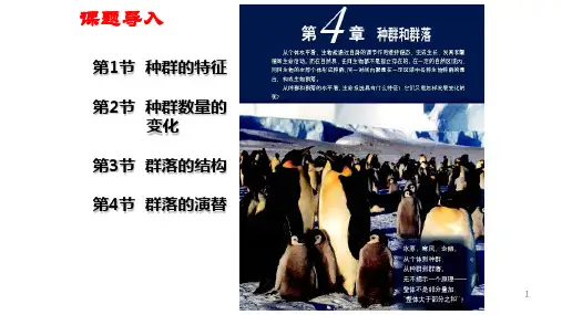 种群的特征(课件PPT)