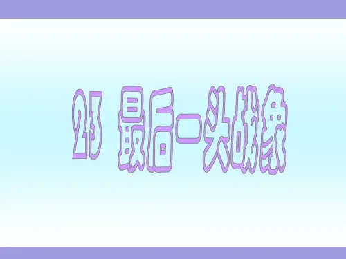 第二十三课《最后一头战象》部编版小学语文六年级上册教学课件