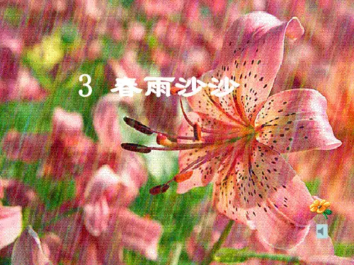2015春湘教版语文一下《春雨沙沙》